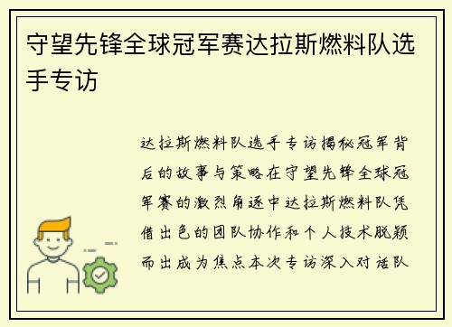 守望先锋全球冠军赛达拉斯燃料队选手专访