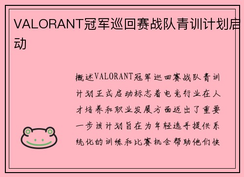 VALORANT冠军巡回赛战队青训计划启动