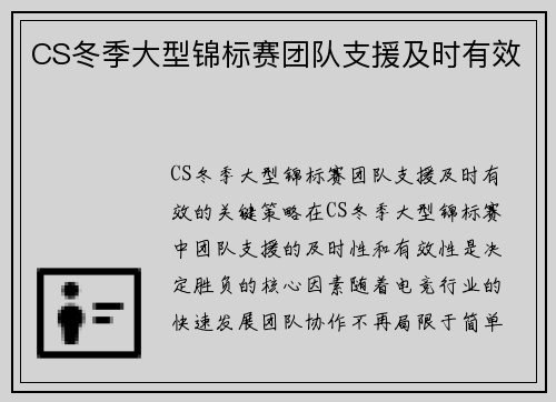 CS冬季大型锦标赛团队支援及时有效