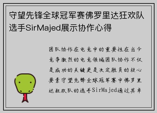 守望先锋全球冠军赛佛罗里达狂欢队选手SirMajed展示协作心得