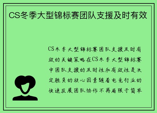 CS冬季大型锦标赛团队支援及时有效