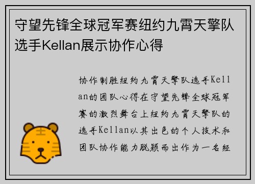 守望先锋全球冠军赛纽约九霄天擎队选手Kellan展示协作心得