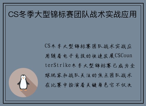 CS冬季大型锦标赛团队战术实战应用